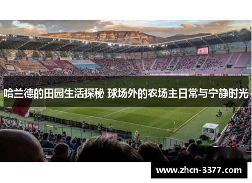 哈兰德的田园生活探秘 球场外的农场主日常与宁静时光