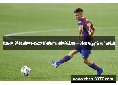 如何打造佩德里回家之旅的难忘体验让每一刻都充满惊喜与感动