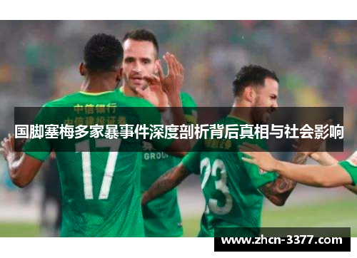 国脚塞梅多家暴事件深度剖析背后真相与社会影响