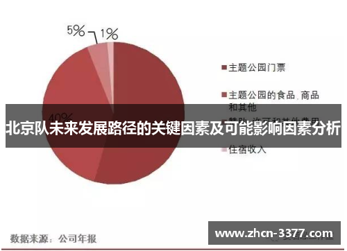 北京队未来发展路径的关键因素及可能影响因素分析