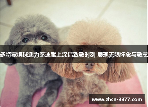 多特蒙德球迷为泰迪献上深情致敬时刻 展现无限怀念与敬意