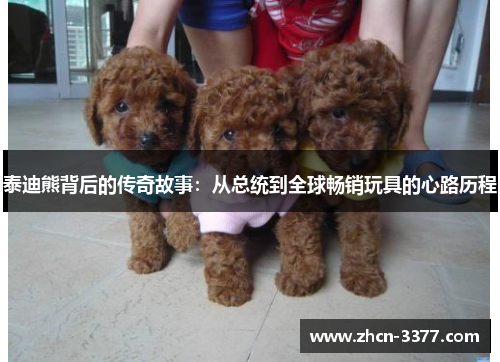 泰迪熊背后的传奇故事：从总统到全球畅销玩具的心路历程