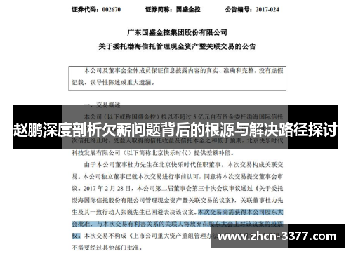 赵鹏深度剖析欠薪问题背后的根源与解决路径探讨 赵鹏深度剖析欠薪问题背后的根源与解决路径探讨