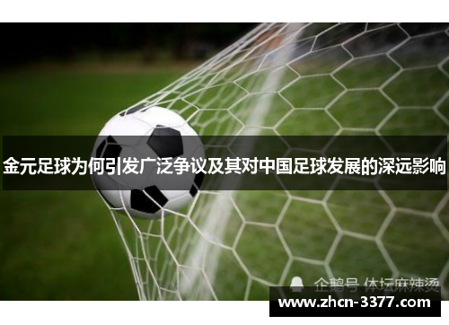 金元足球为何引发广泛争议及其对中国足球发展的深远影响