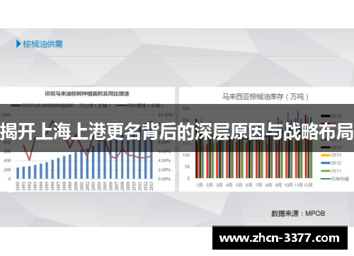 揭开上海上港更名背后的深层原因与战略布局