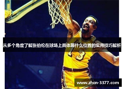 从多个角度了解张伯伦在球场上具体踢什么位置的实用技巧解析