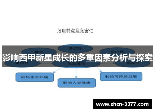 影响西甲新星成长的多重因素分析与探索